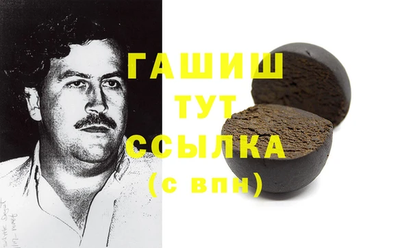 молекула духа Пестово