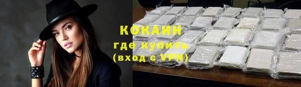 молекула духа Пестово