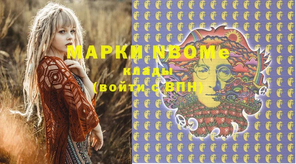 молекула духа Пестово