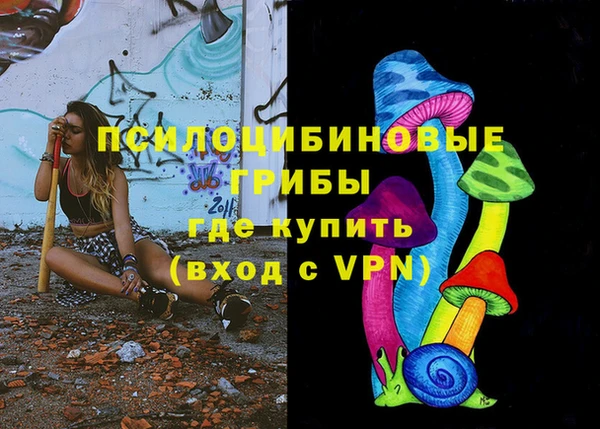 молекула духа Пестово