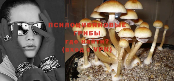 молекула духа Пестово