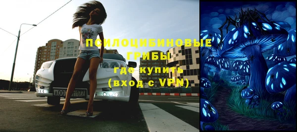 дживик Переславль-Залесский