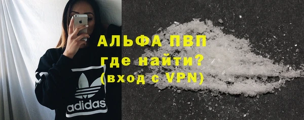 молекула духа Пестово