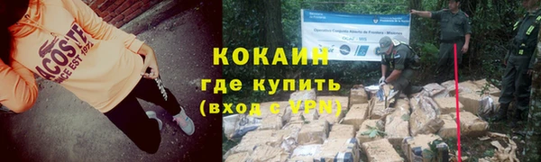 молекула духа Пестово