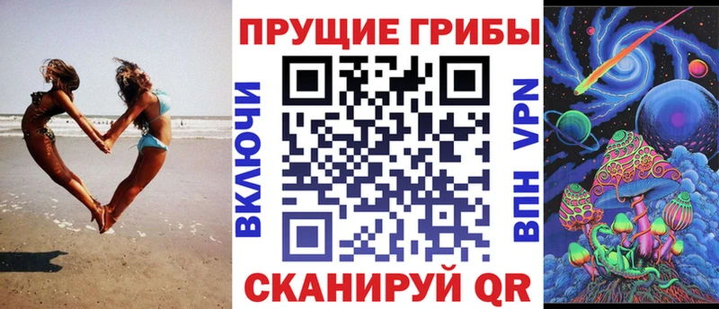 купить   блэк спрут как зайти  Псилоцибиновые грибы Psilocybe  Тавда 